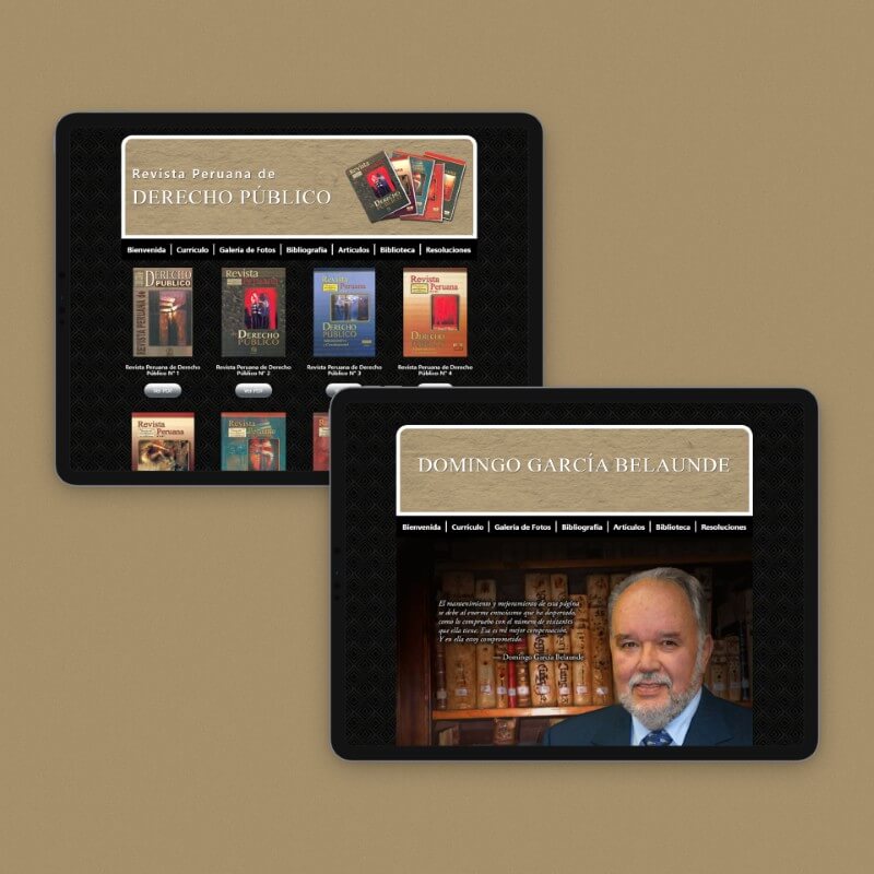 Domingo García Belaunde